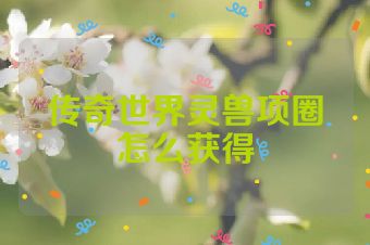 传奇世界灵兽项圈怎么获得