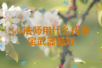 wlk法师用什么传家宝武器最好