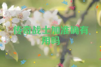 传奇战士加准确有用吗