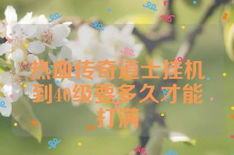 热血传奇道士挂机到40级要多久才能打满