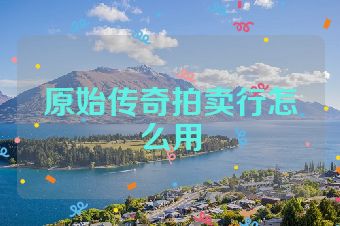 原始传奇拍卖行怎么用