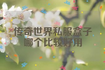 传奇世界私服盒子哪个比较好用
