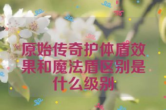 原始传奇护体盾效果和魔法盾区别是什么级别