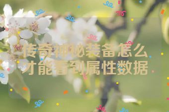 传奇神秘装备怎么才能看到属性数据