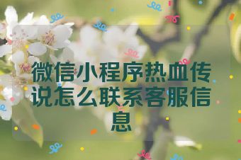 微信小程序热血传说怎么联系客服信息