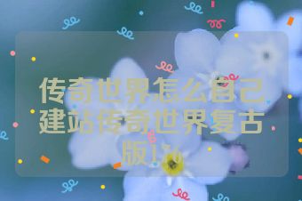 传奇世界怎么自己建站传奇世界复古版176