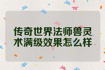 传奇世界法师兽灵术满级效果怎么样
