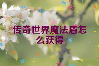 传奇世界魔法盾怎么获得