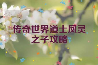 传奇世界道士凤灵之子攻略