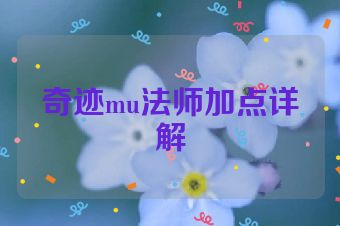 奇迹mu法师加点详解