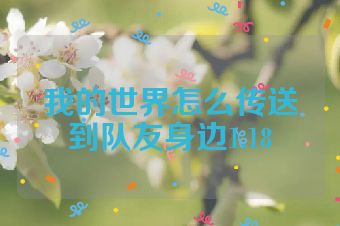 我的世界怎么传送到队友身边1.18