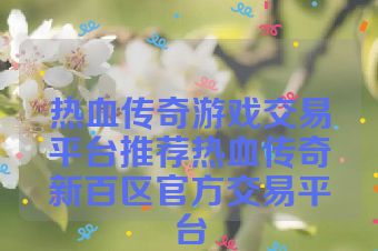 热血传奇游戏交易平台推荐热血传奇新百区官方交易平台