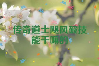 传奇道士飓风破技能干嘛的