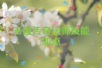 王者传奇法师技能加点