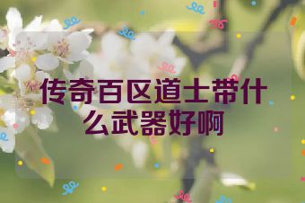 传奇百区道士带什么武器好啊