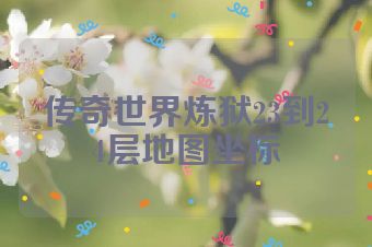 传奇世界炼狱23到24层地图坐标