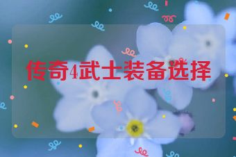 传奇4武士装备选择