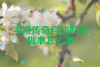 手游传奇自动回收脚本怎么弄