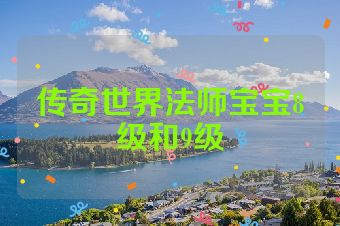 传奇世界法师宝宝8级和9级