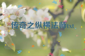 传奇之纵横法师txt