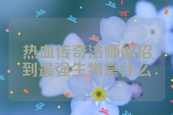 热血传奇法师能招到最强生物是什么