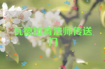 瓦德拉肯法师传送门