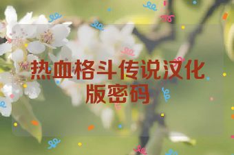 热血格斗传说汉化版密码