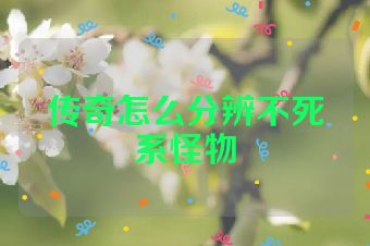 传奇怎么分辨不死系怪物
