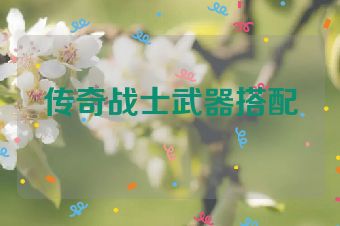 传奇战士武器搭配