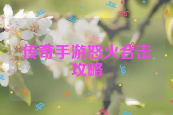 传奇手游怒火合击攻略
