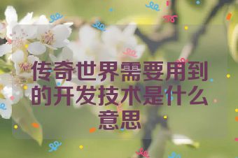 传奇世界需要用到的开发技术是什么意思