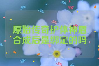 原始传奇护体神盾合成后是绑定的吗