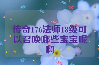 传奇176法师18级可以召唤哪些宝宝呢啊