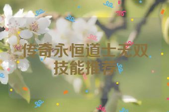 传奇永恒道士无双技能推荐