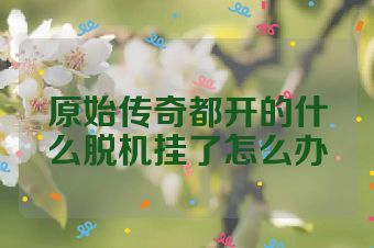 原始传奇都开的什么脱机挂了怎么办