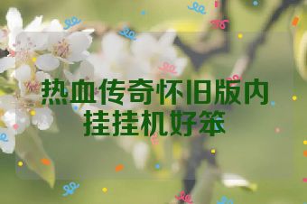 热血传奇怀旧版内挂挂机好笨
