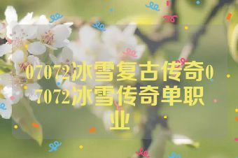 07072冰雪复古传奇07072冰雪传奇单职业