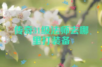 传奇31级法师去哪里打装备
