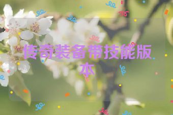 传奇装备带技能版本