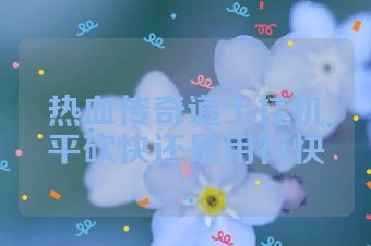 热血传奇道士挂机平砍快还是用符快