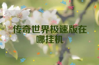 传奇世界极速版在哪挂机
