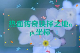 热血传奇抉择之地npc坐标