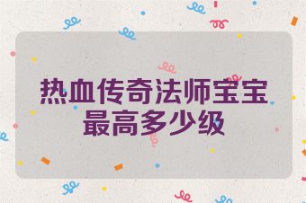 热血传奇法师宝宝最高多少级