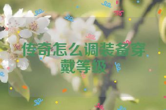 传奇怎么调装备穿戴等级