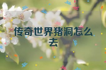 传奇世界猪洞怎么去