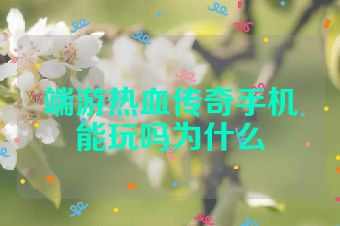 端游热血传奇手机能玩吗为什么