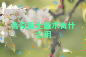 传奇道士道术有什么用