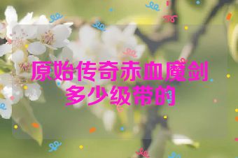原始传奇赤血魔剑多少级带的