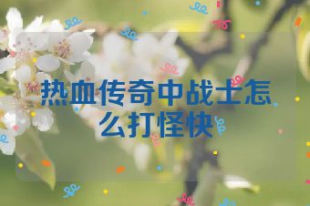 热血传奇中战士怎么打怪快