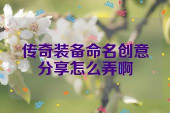 传奇装备命名创意分享怎么弄啊